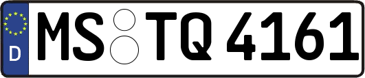 MS-TQ4161