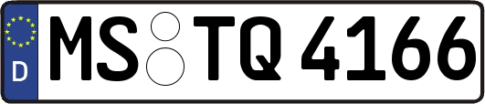 MS-TQ4166