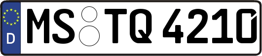 MS-TQ4210