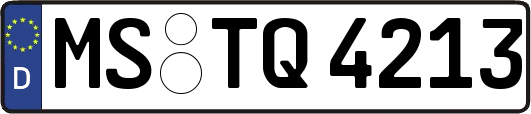 MS-TQ4213