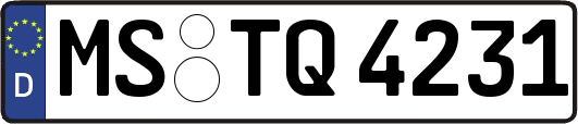 MS-TQ4231