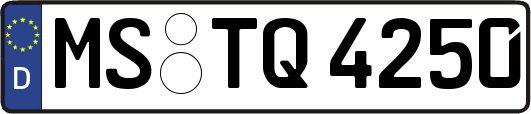 MS-TQ4250