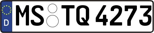 MS-TQ4273
