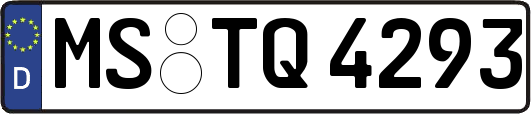 MS-TQ4293