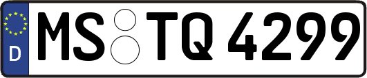 MS-TQ4299