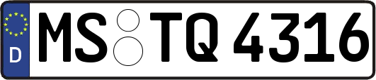 MS-TQ4316