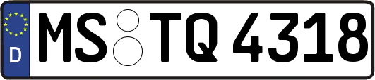 MS-TQ4318