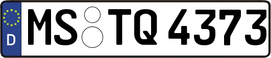 MS-TQ4373