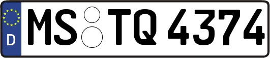 MS-TQ4374