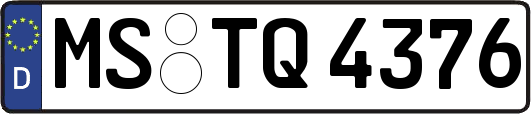 MS-TQ4376