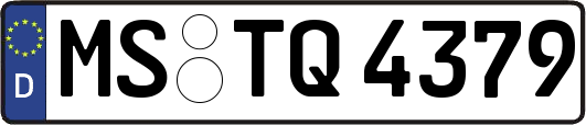 MS-TQ4379