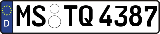 MS-TQ4387