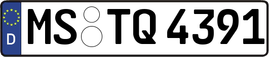MS-TQ4391