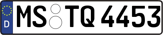 MS-TQ4453