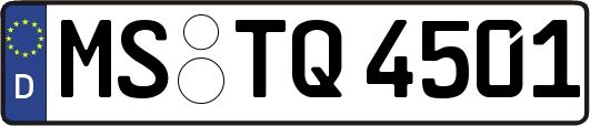 MS-TQ4501