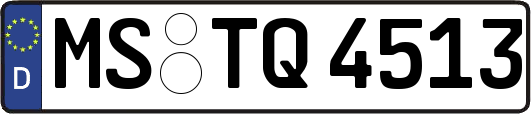 MS-TQ4513