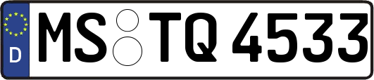 MS-TQ4533