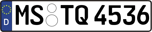 MS-TQ4536