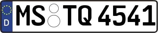 MS-TQ4541