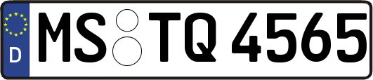 MS-TQ4565