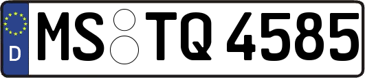 MS-TQ4585