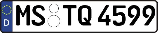 MS-TQ4599