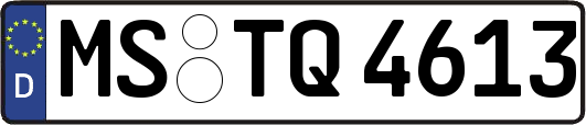 MS-TQ4613