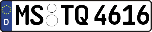 MS-TQ4616