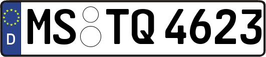 MS-TQ4623