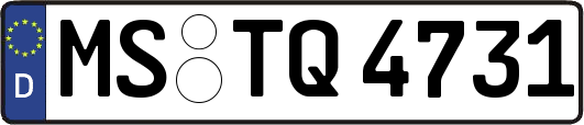 MS-TQ4731