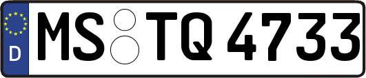 MS-TQ4733