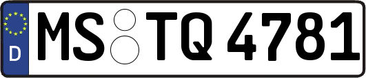 MS-TQ4781