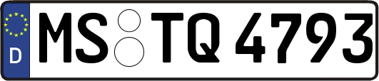 MS-TQ4793