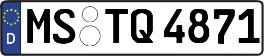 MS-TQ4871