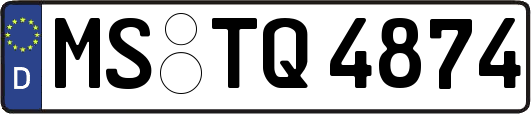 MS-TQ4874