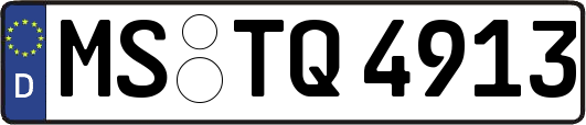 MS-TQ4913