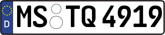 MS-TQ4919