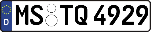 MS-TQ4929