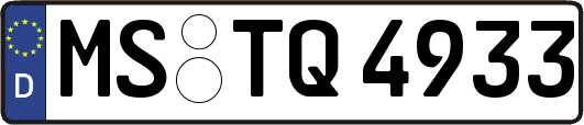 MS-TQ4933