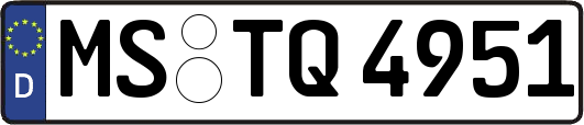 MS-TQ4951
