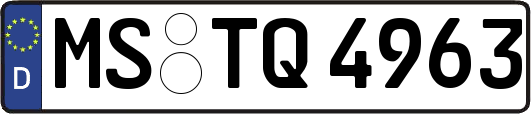 MS-TQ4963