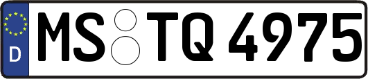 MS-TQ4975
