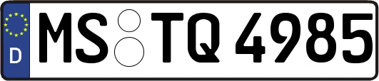 MS-TQ4985