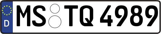 MS-TQ4989