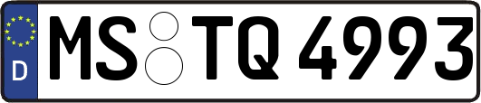 MS-TQ4993