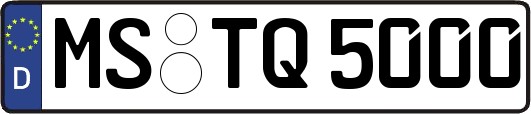 MS-TQ5000