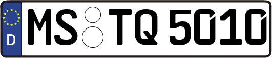MS-TQ5010