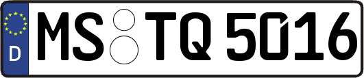MS-TQ5016