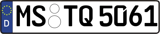 MS-TQ5061
