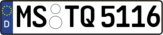MS-TQ5116
